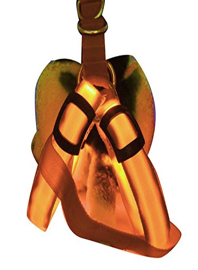 Futaba Dog LED Harness Flashing Light 3 Mode - Orange - Medium - Image 5